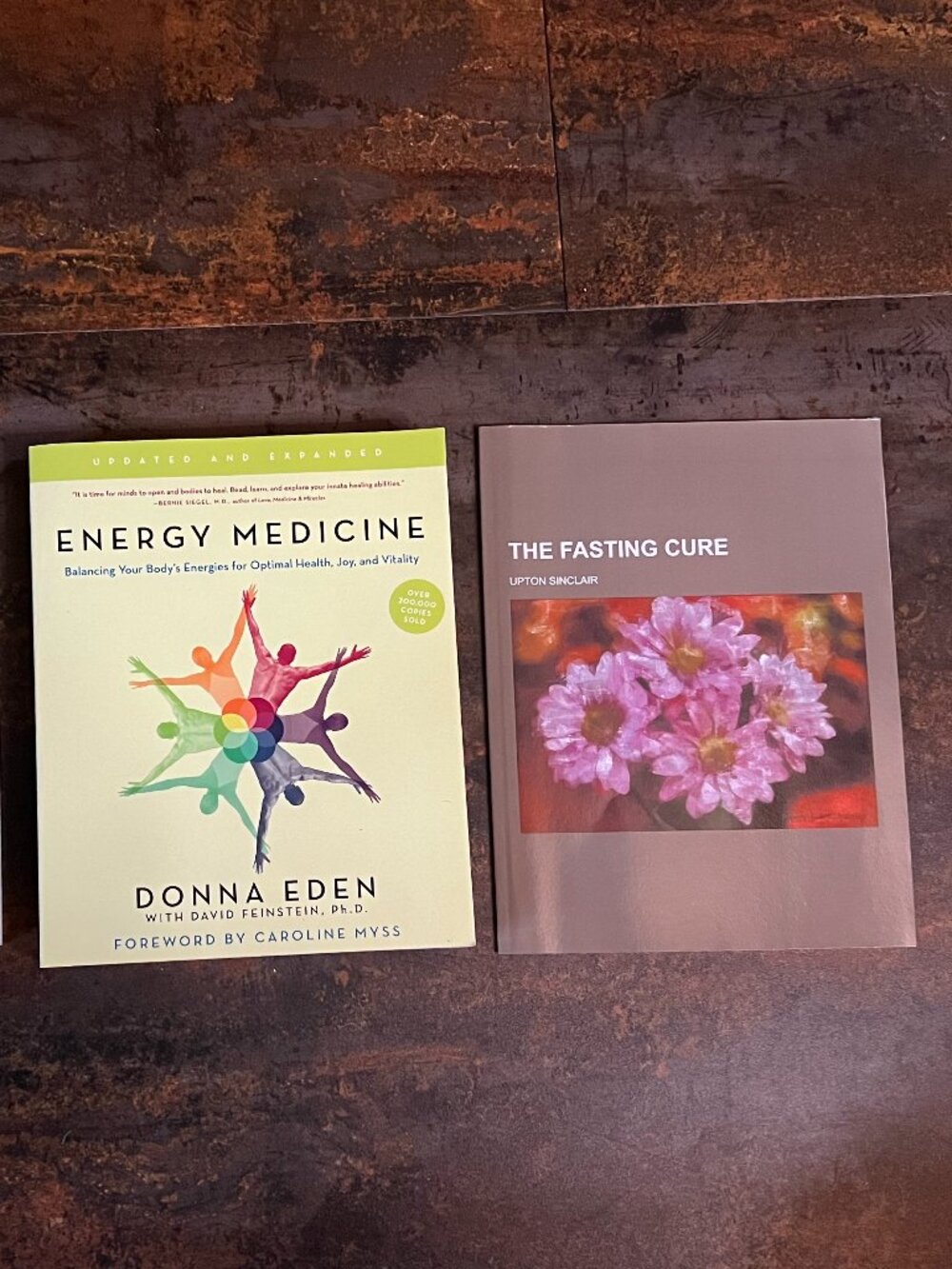 2-Book Bundle: Energy Medicine, Donna Eden & The Fasting Cure, Upton Sinclair